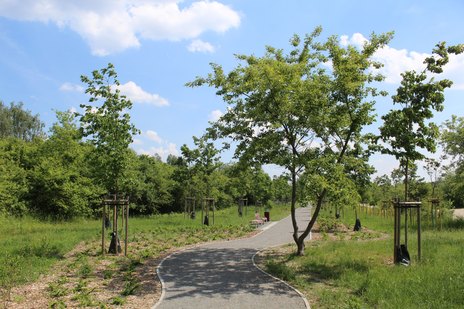 Aleja Demokracji na Strzeszynie