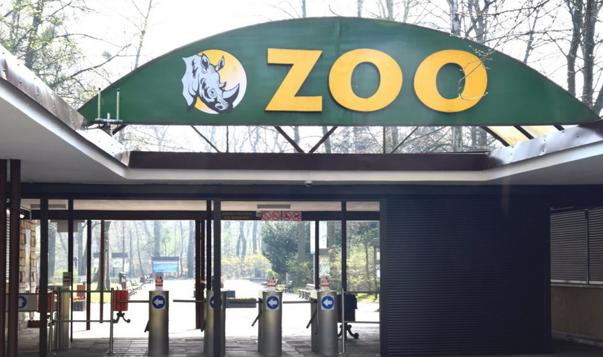 brama wejściowa do ogrodu zoologicznego - grafika artykułu