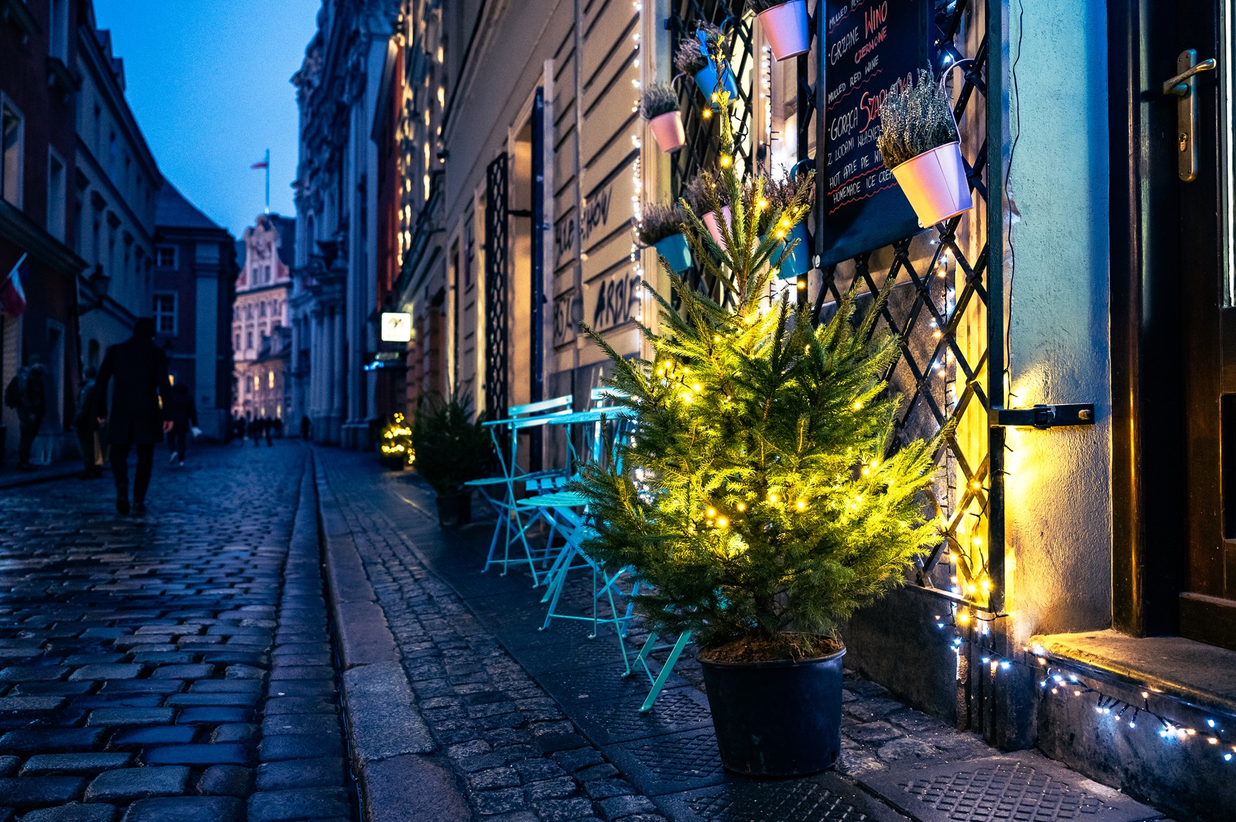 Ciemna ulica, na chodniku przy ścianie budynku, ubrana w lampki mała choinka w doniczce.