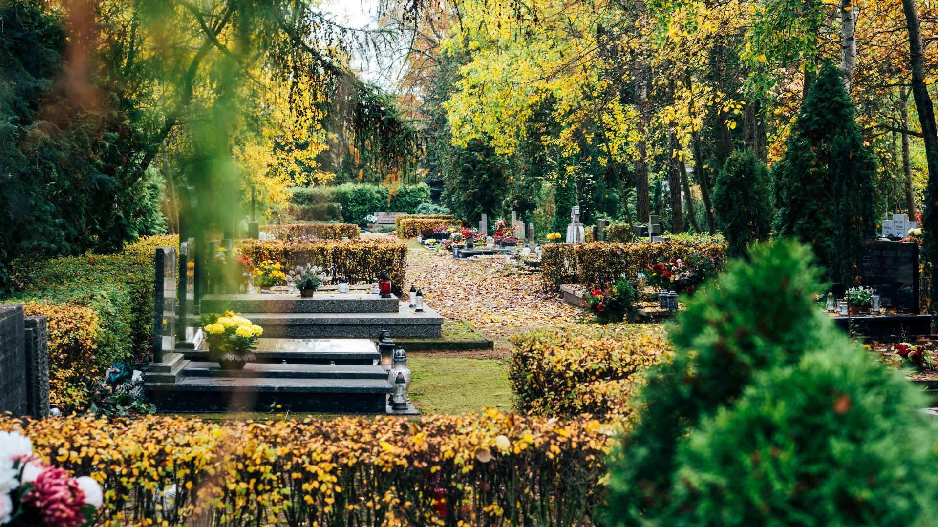 Cmentarz w jesiennej aurze, dookoła grobów drzewa z kolorowymi liśćmi.