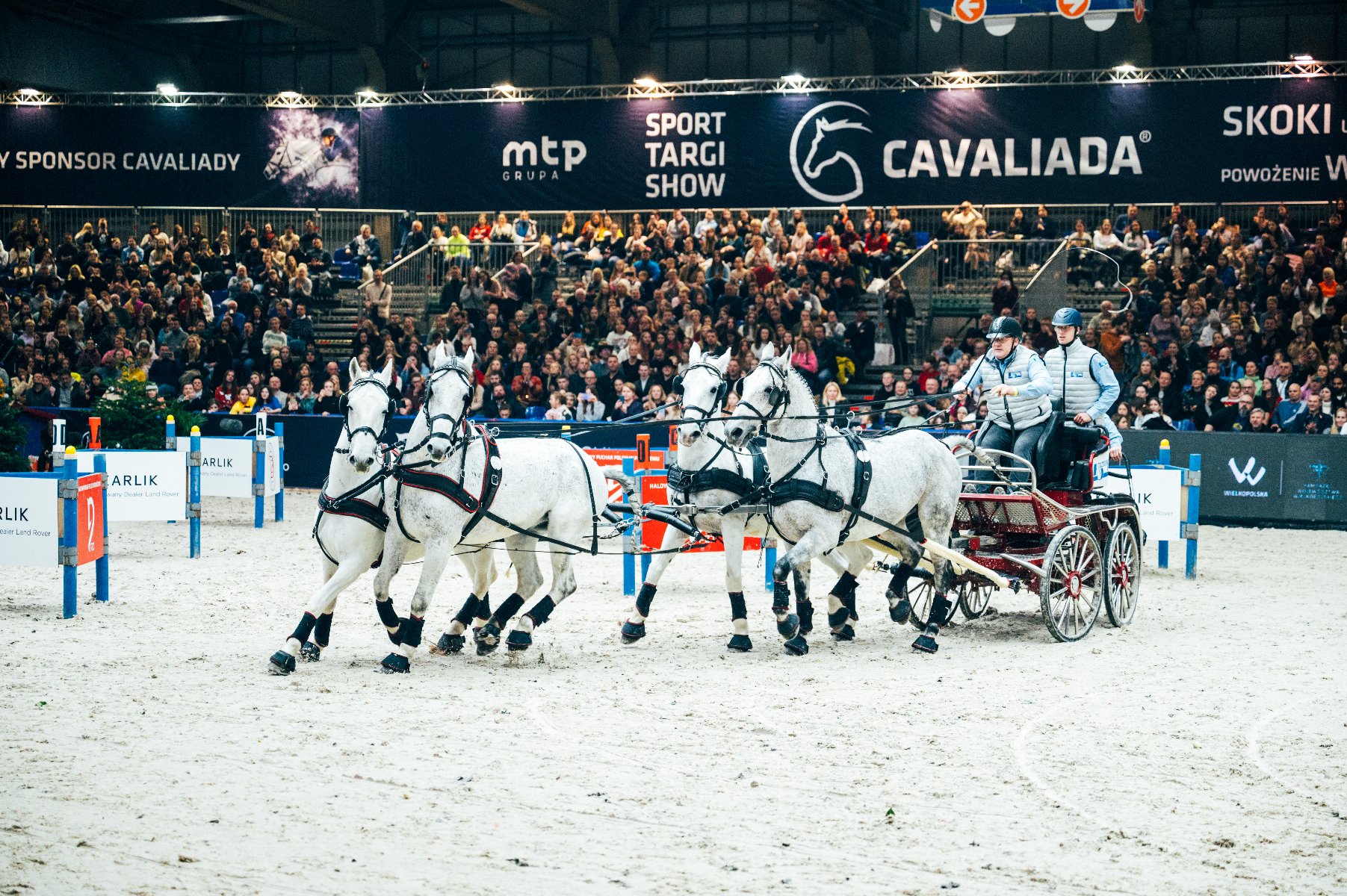 Cztery białe konie zaprzęgnięte w powóz, którym kieruje woźnica i pasażerowie w jasnoniebieskich kurtkach. Uczestniczą w zawodach powożenia na arenie pokrytej piaskiem. W tle widoczny jest tłum widzów i ciemny baner z białym napisem: "MTP GRUPA SPORT TARGI SHOW CAVALIADA".