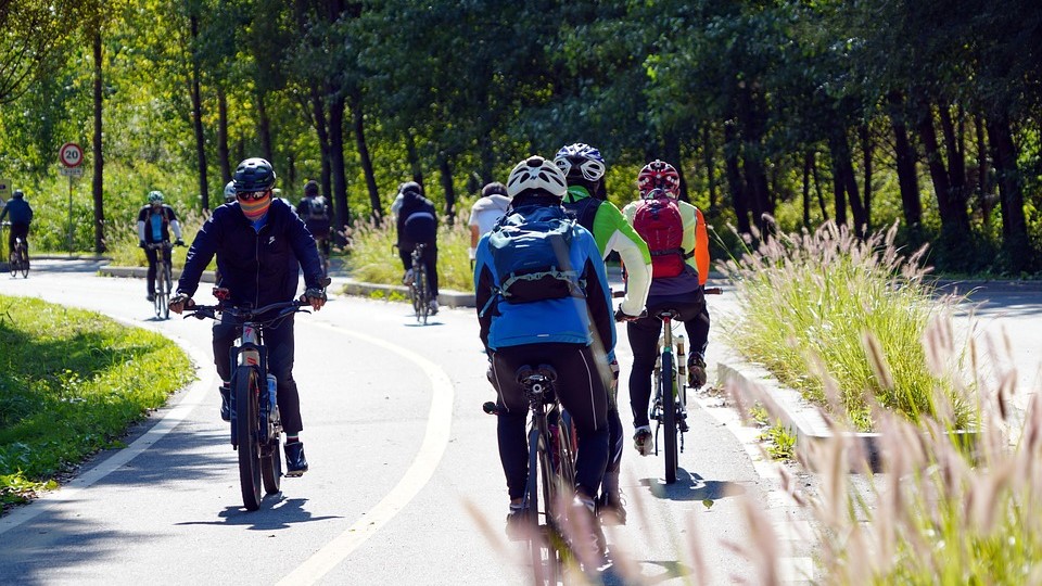 Droga rowerowa z jadącymi rowerzystami cięgnąca się wśród drzew.