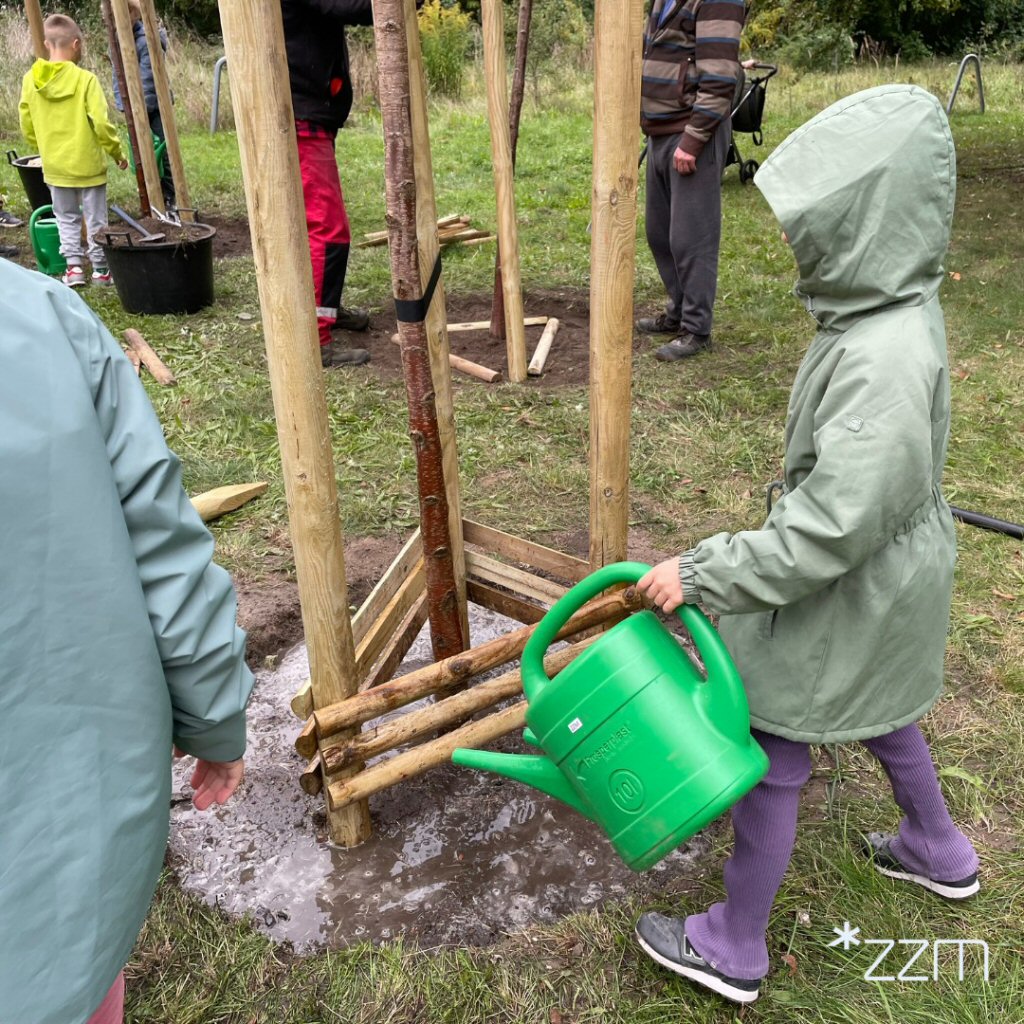 Dzieci podlewający posadzone drzewo