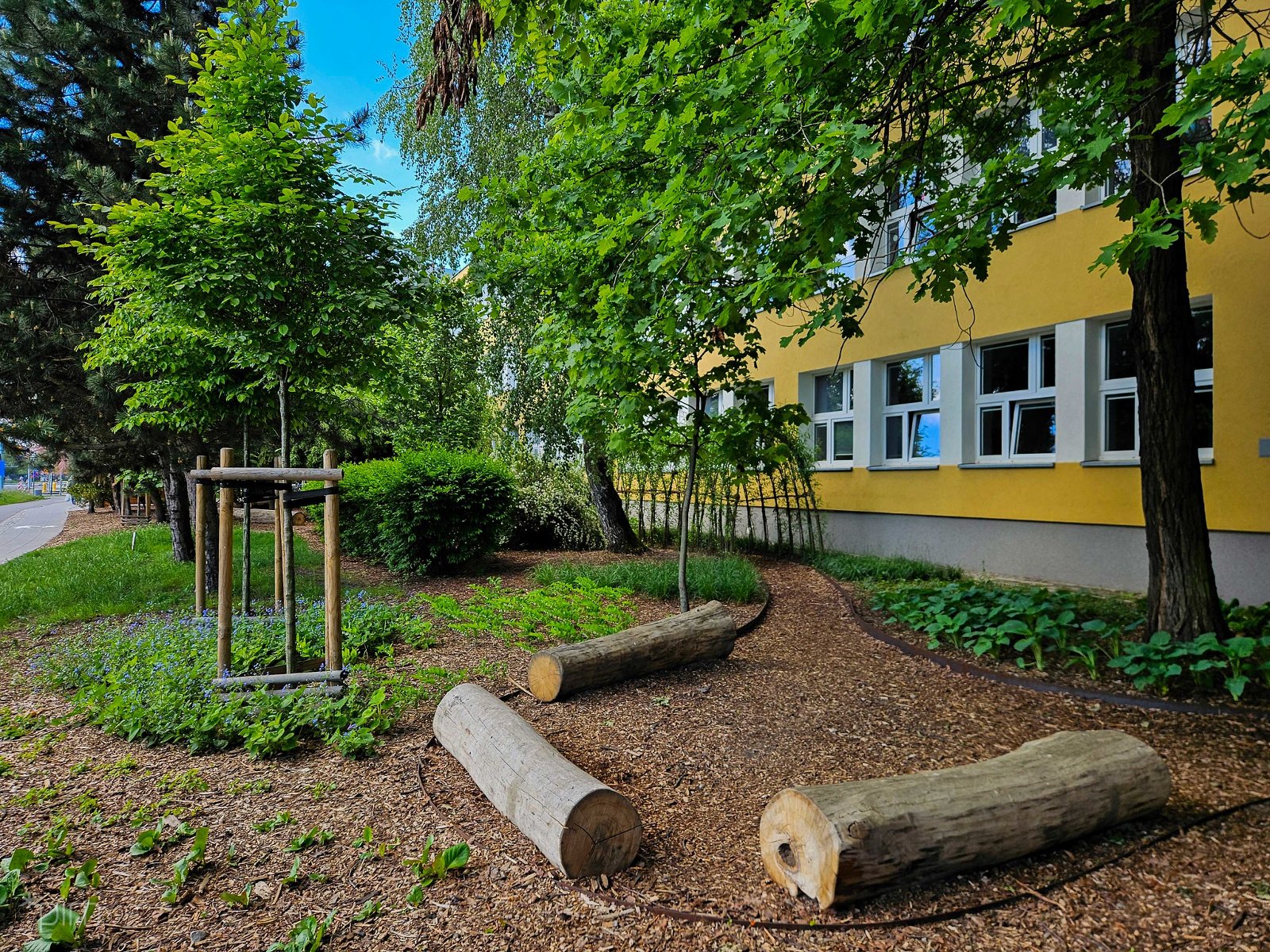 Galeria zdjęć z zazielenienia przy szkołach w Poznaniu. SP 77