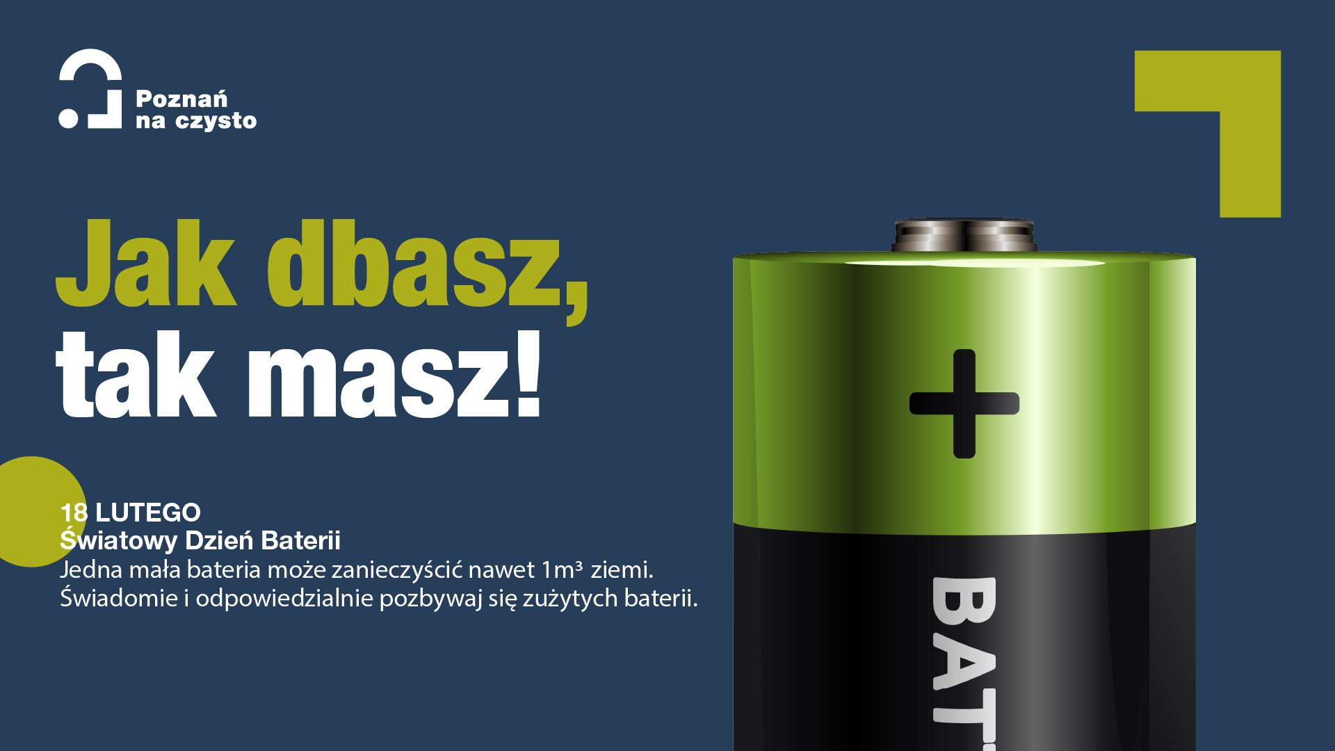 Grafika opisuje Światowy Dzień Baterii