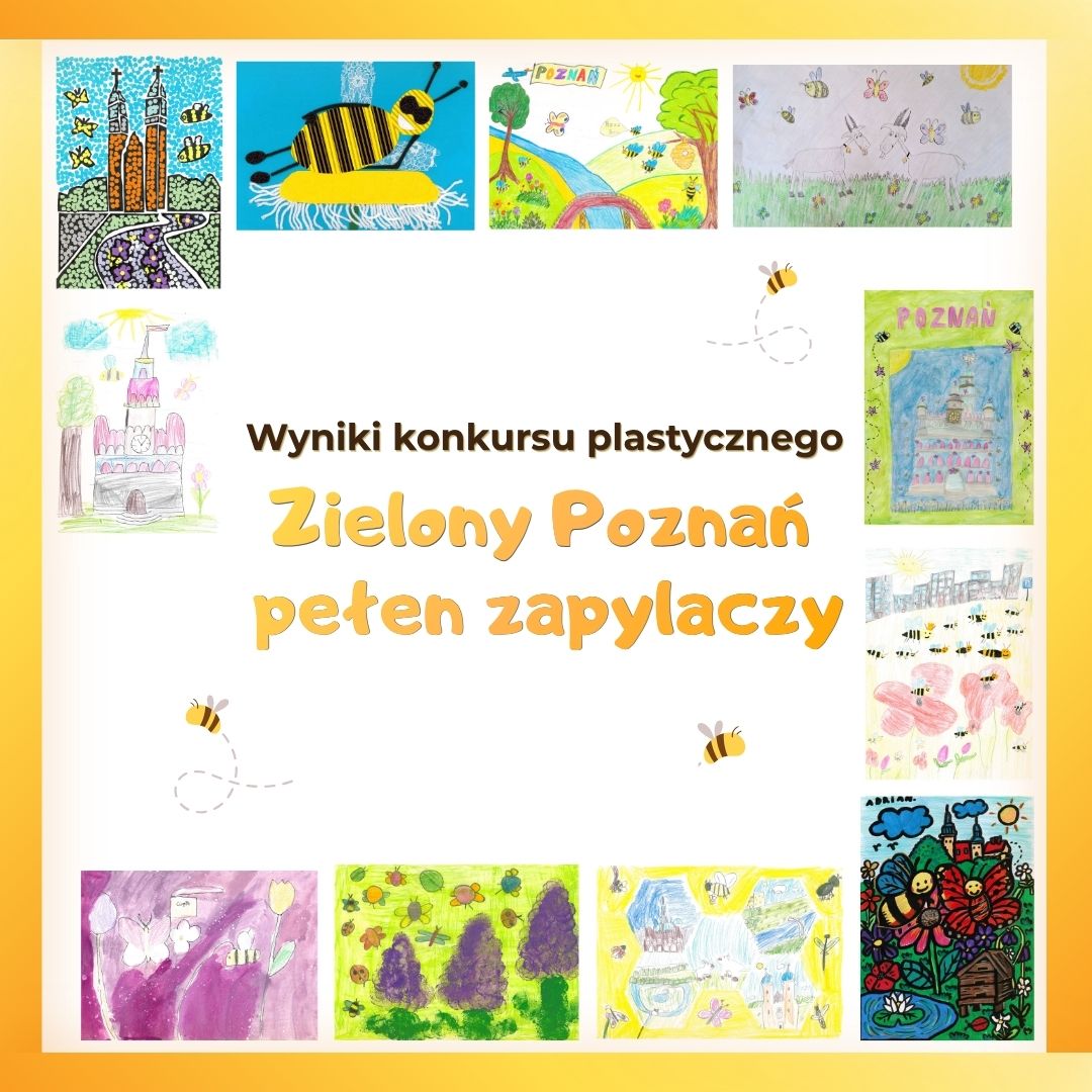 Grafika przedstawia wszystkie wygrane oraz wyróżnione prace plastyczne w konkursie.