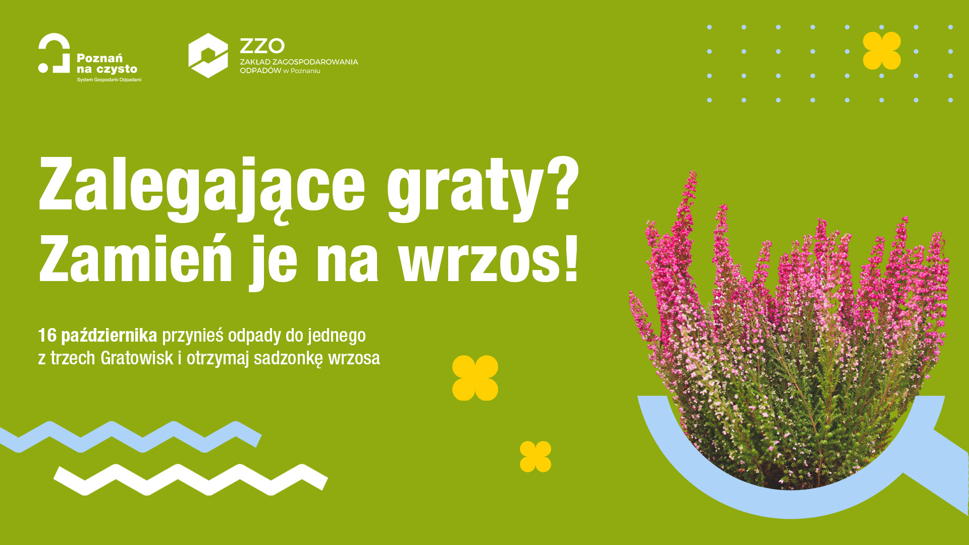 Grafika przedstawia zdjęcie wrzosu i informacje o akcji.