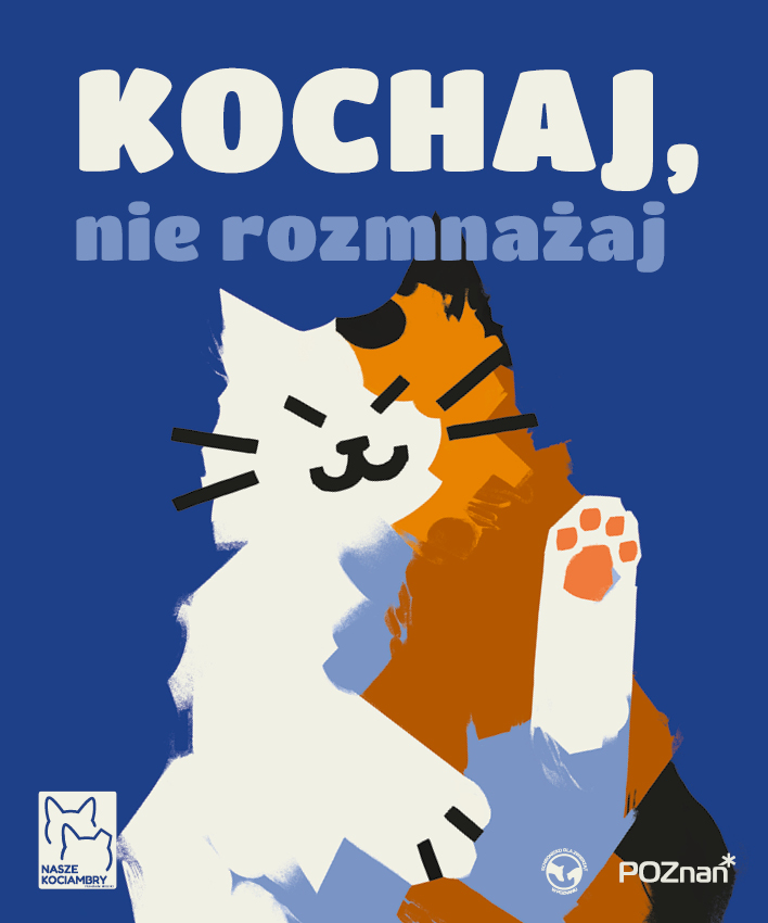 Grafika przedstawiająca biało-rudego kota na niebieskim tle