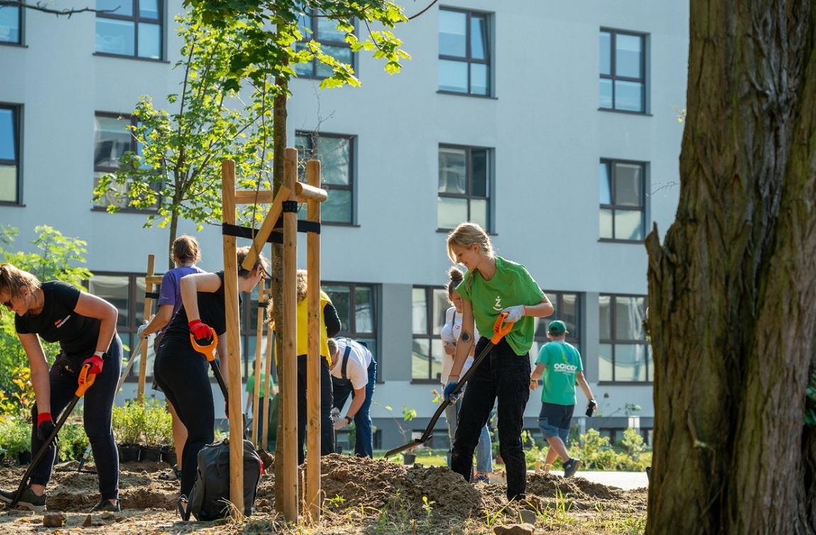 grupa ludzi realizuje prace ogrodowe, mają łopaty, sadzą drzewa