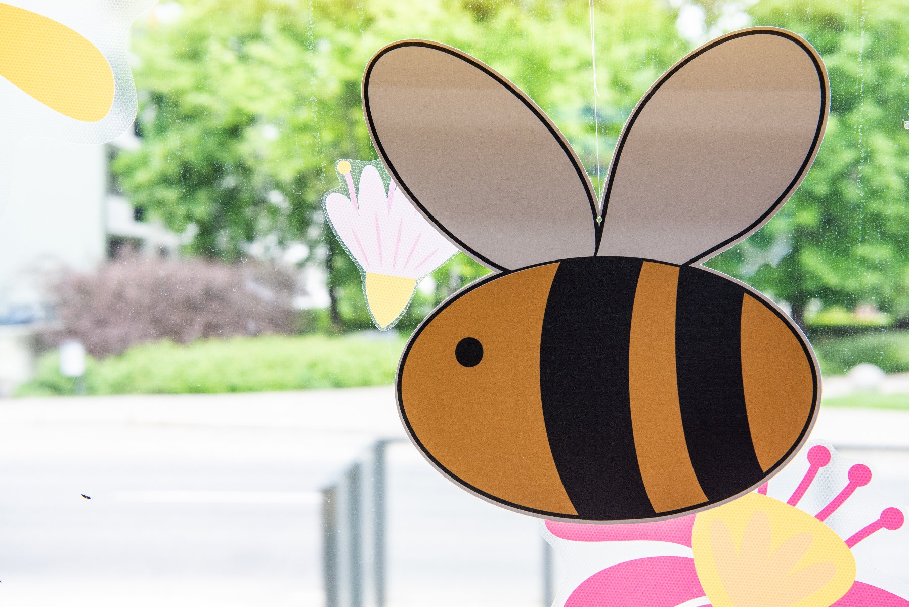 Ilustracja dużej pszczoły z czarno-żółtymi paskami i dwoma dużymi skrzydłami, będącej częścią dekoracji okiennej. Obok znajdują się różowe i żółte kwiaty oraz białe z żółtymi. Tło za oknem przedstawia zieleń drzew i krzewów oraz niewyraźny widok na ulicę lub chodnik.