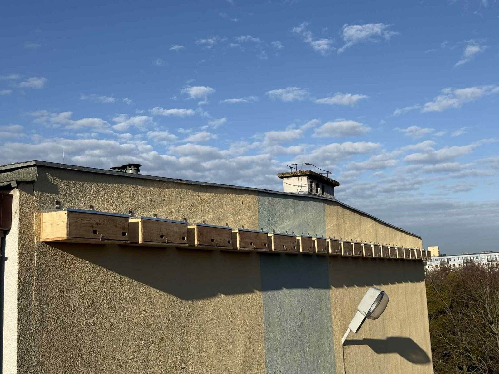 Ilustracja przedstawia budki dla jerzyków przymocowane na ścianie szkoły pod dachem.