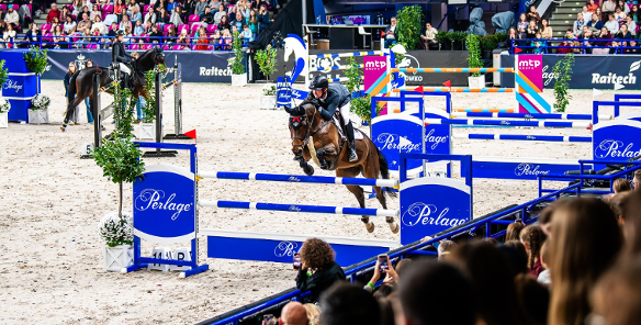 Jeździec na koniu skaczący przez przeszkodę