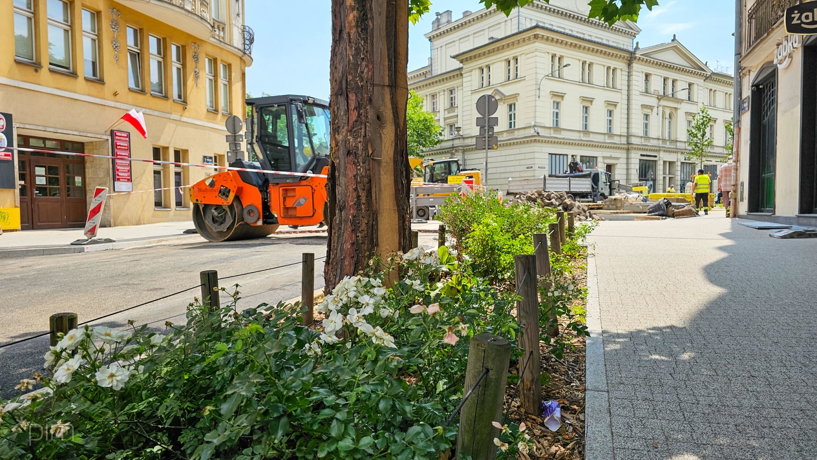 Klomb z zielonymi roślinami i drzewem. Obok niego chodnik z kostki. W tle maszyny budowlane i robotnicy oraz budynki kamienic.