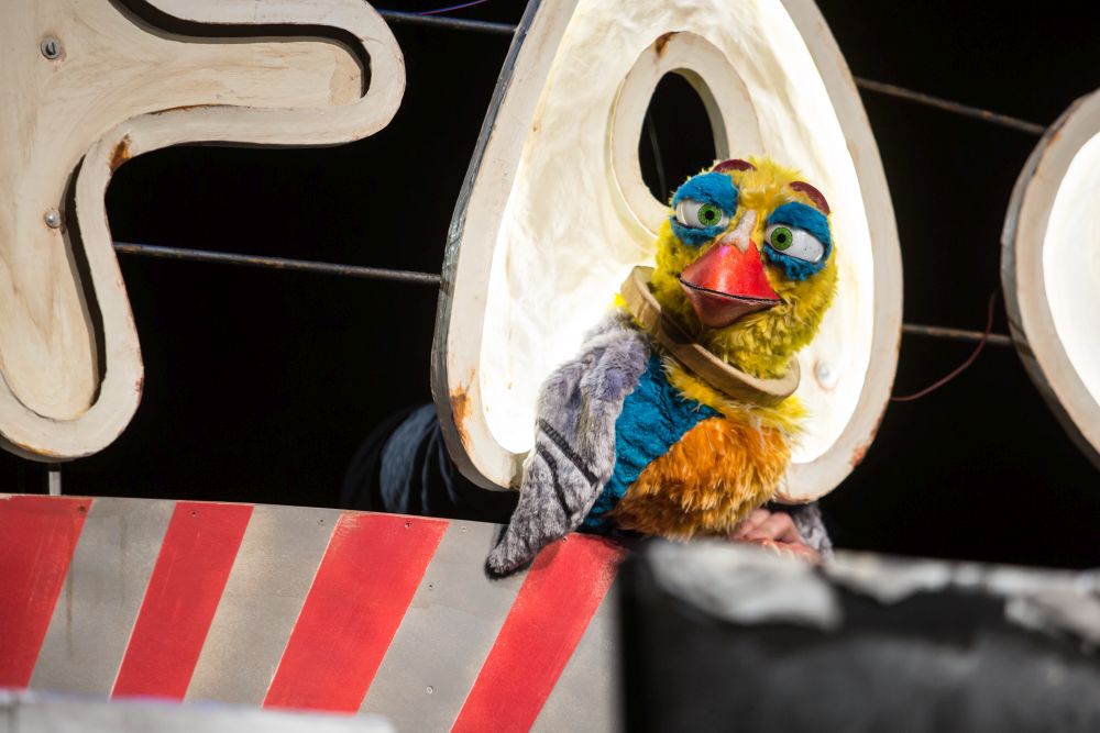 Kolorowa pacynka ptaka.