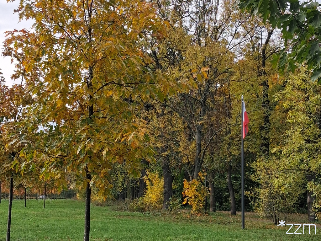 Lasek Katyński Lasek Katyński