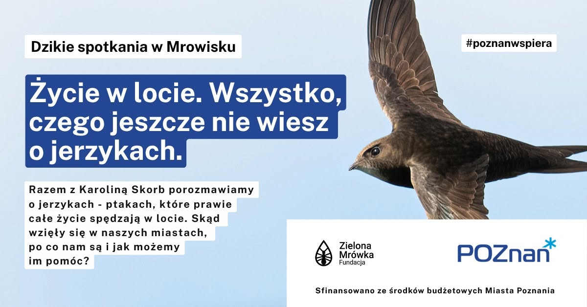 Lecący jerzyk a wokół niego napisy promujące wydarzenie