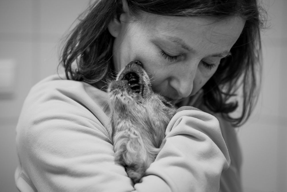 Młody mężczyzna z czerwonym irokezem na głowie, kolczykami w uszach i zawadiackim uśmiechem. Jest rozebrany od pasa w górę.