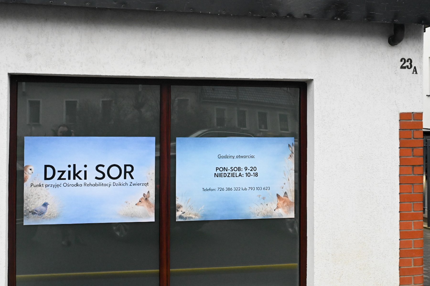 Na fotografii widać budynek Dzikiego SORu wraz z informacjami kontaktowymi przyklejonymi na szybie.