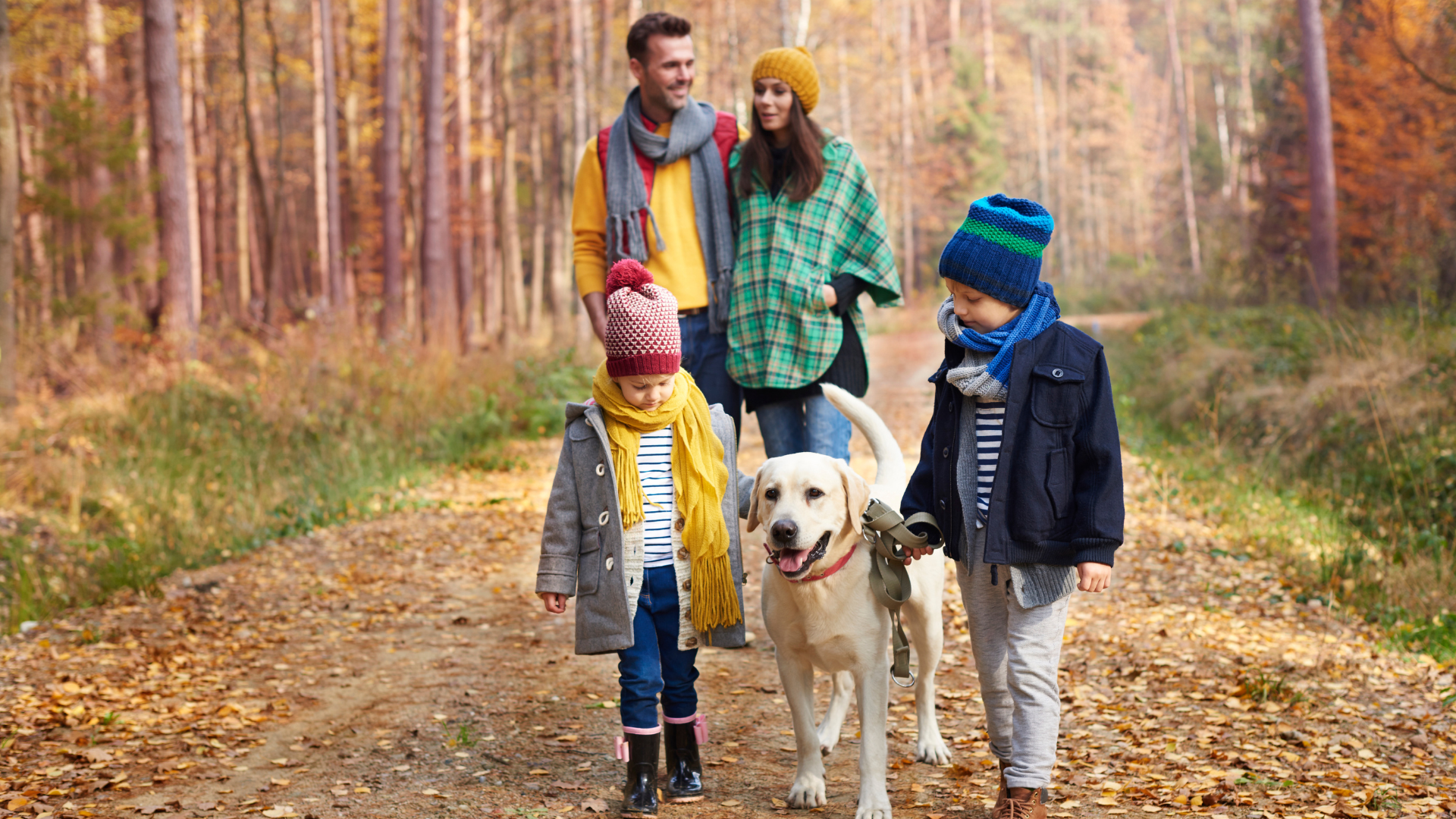 na obrazku na pierwszym planie dwójka dzieci z psem, z tyłu rodzice, na spacerze, jesienną porą w leśnej scenerii, na drodze utwardzonej