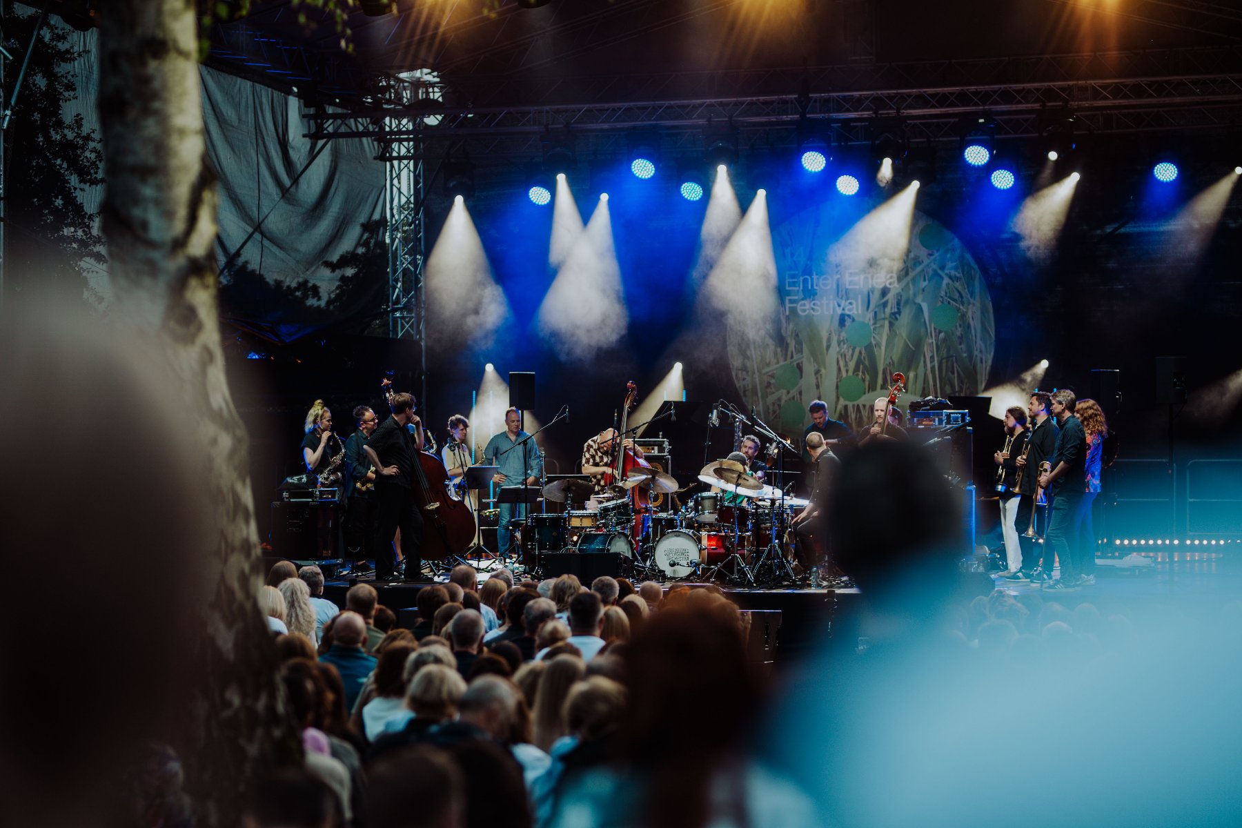 Na pierwszym planie głowy słuchaczy, którzy siedzą pod sceną i oglądają koncert. Na scenie zespół składający się z wielu muzyków. Scena jest oświetlona bialymi i niebieskimi światłami.