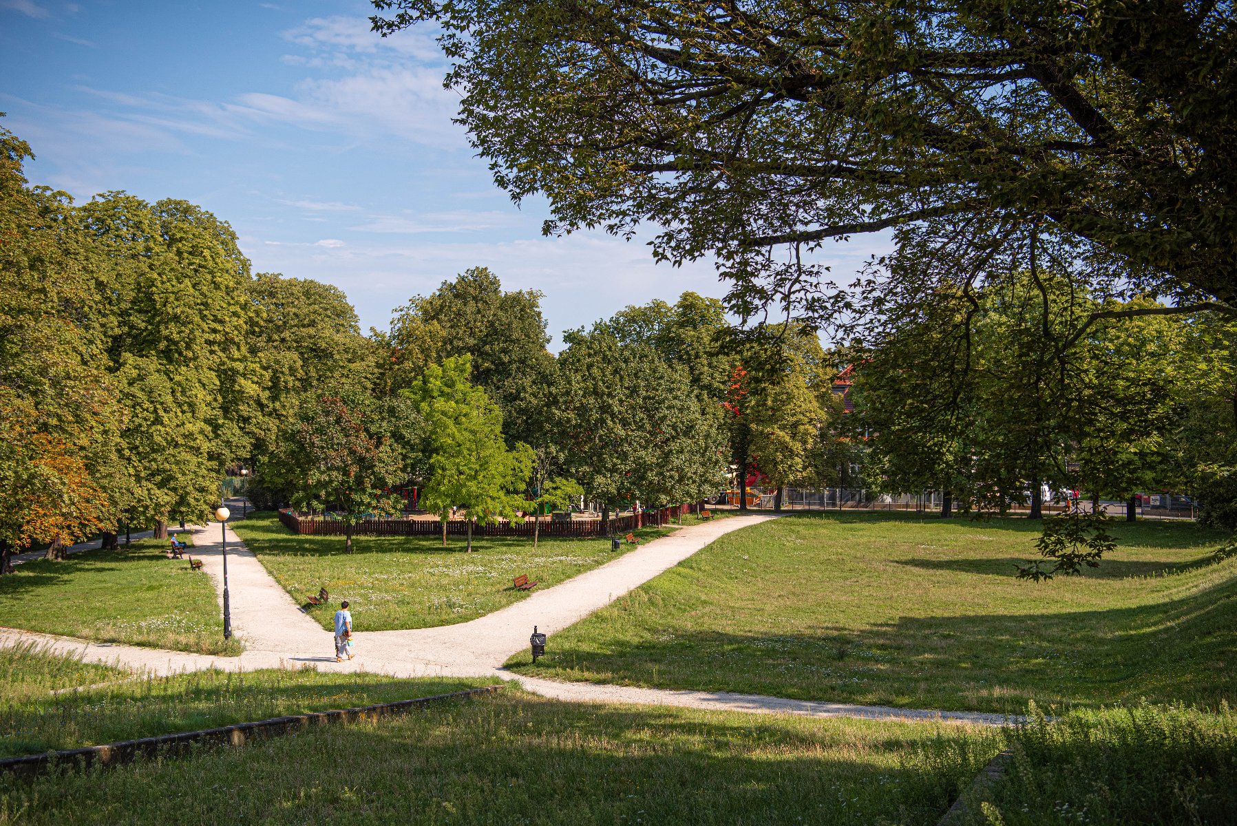 Na stronie widać zdjęcie parku,