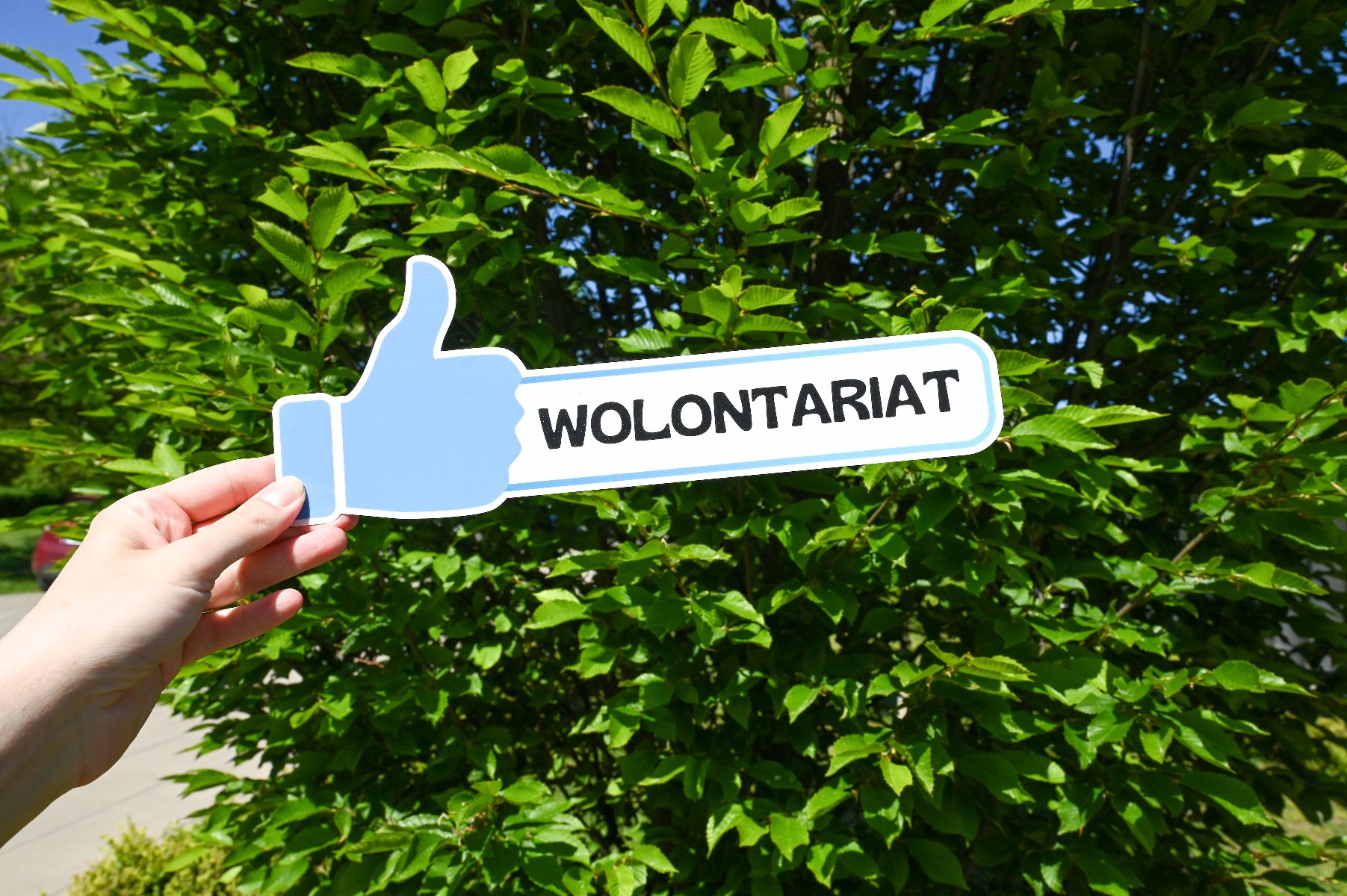 Na zdjeciu baner z napisem: wolontariat i kciukiem w górę, trzymany w dłoni, w tle rośliny