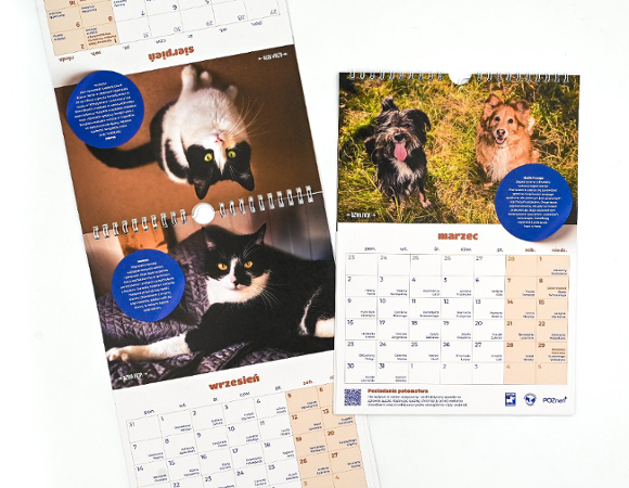 Na zdjęciu dwa rozłożone kalendarze, na jednym widać psy, na drugim - koty