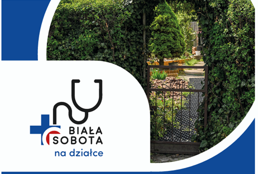 Na zdjęciu działki ROD, widać dużo zieleni i furtkę