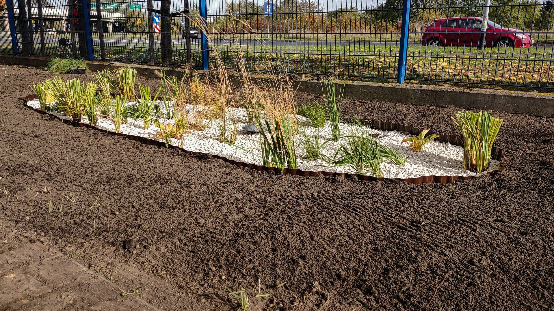 Na zdjęciu grządka, na niej rosną rośliny, wokół zagrabiona gleba