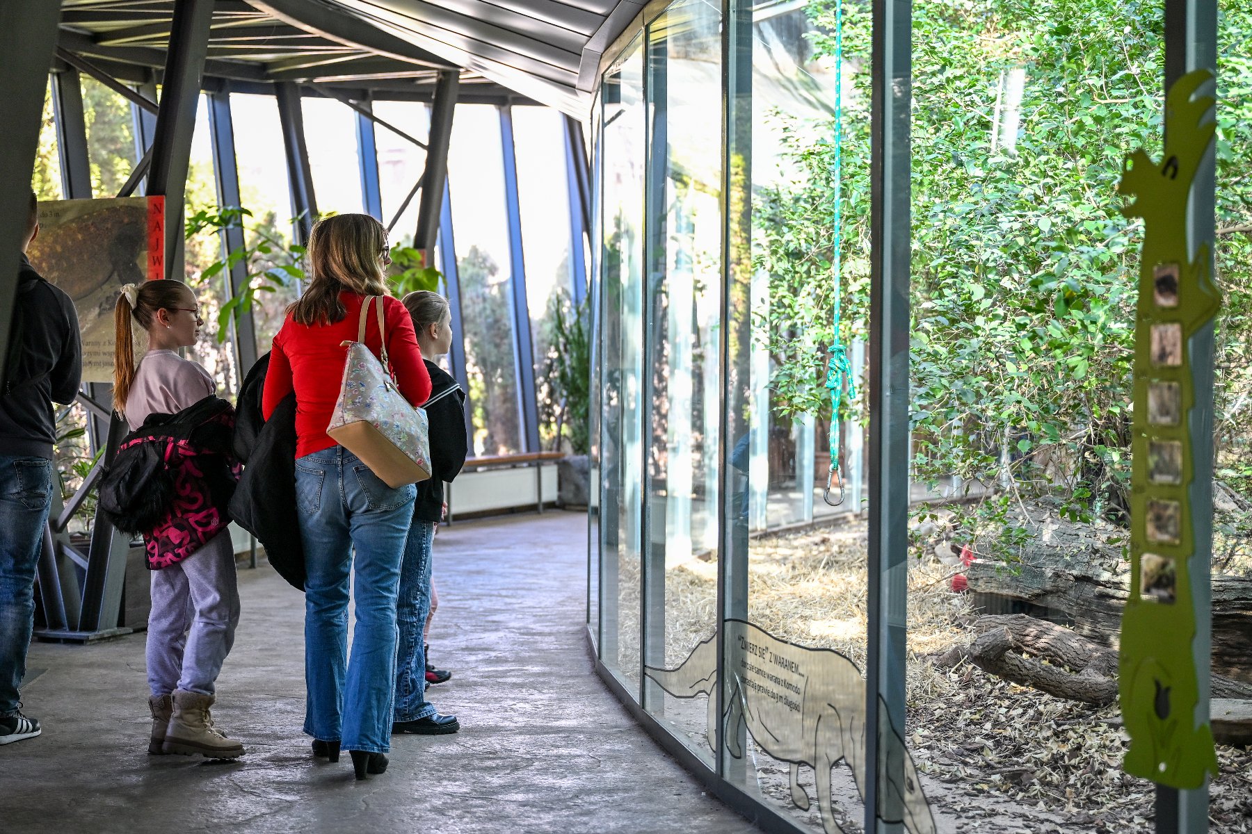 Na zdjęciu rodzina zwiedzająca Stare Zoo, przyglądająca się oszklonemu wybiegowi
