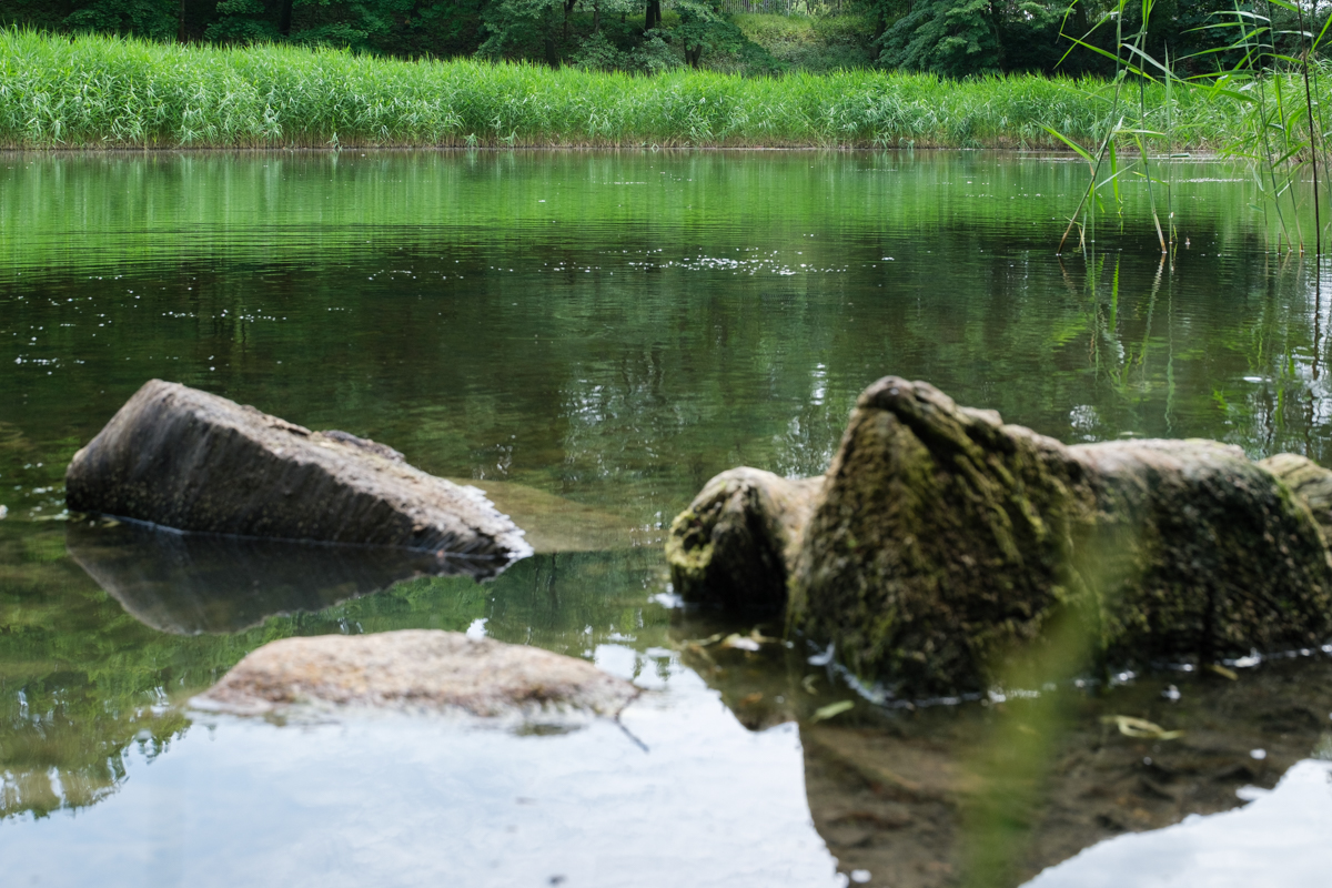 Na zdjęciu staw, na pierwszym planie omszałe kamienie