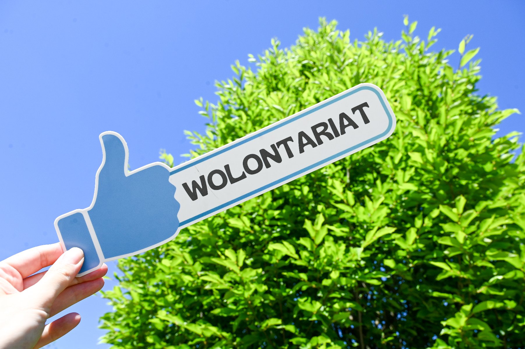 Na zdjęciu tabliczka z napisem wolontariat i kciukiem w górę, trzymana na tle drzewa