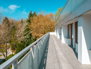 Na zdjęciu taras, w tle drzewa