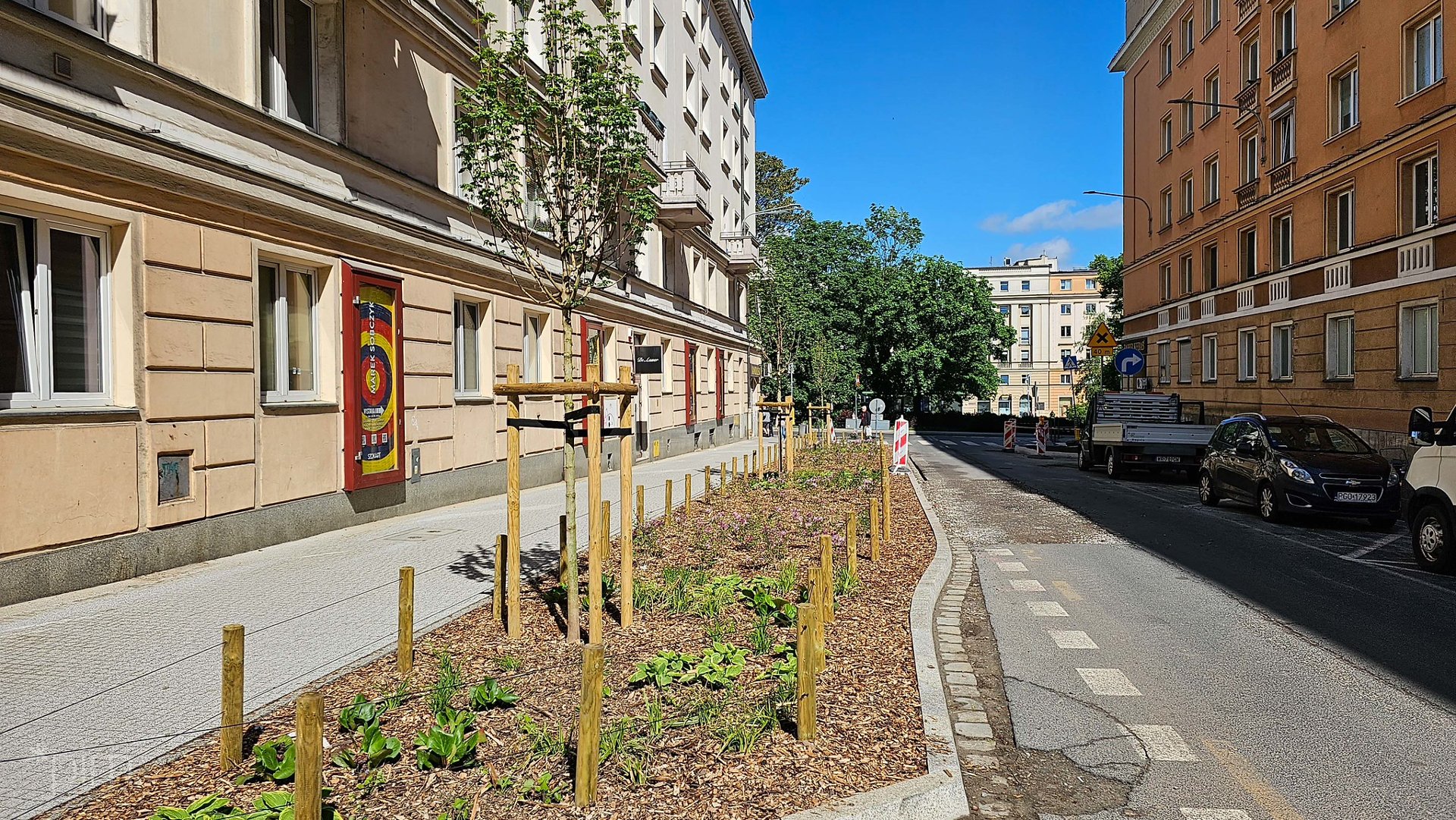Na zdjęciu ulica w centrum, na pierwszym planie kwitnąca sadzonka bzu