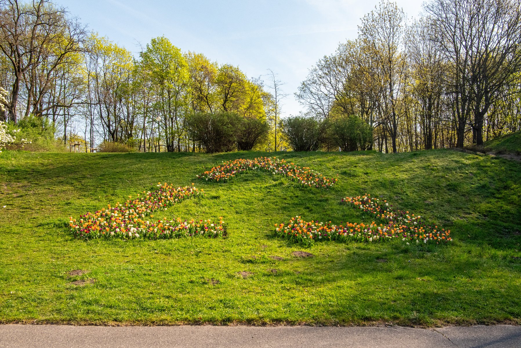 Na zdjęciu widać Wstęgę Möbiusa, symbolizującą recykling, która jest wykonana z wielokolorowych kwiatów rosnących na skarpie w parku miejskim