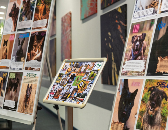 Na zdjęciu wystawa plakatów z wizerunkami zwierzat