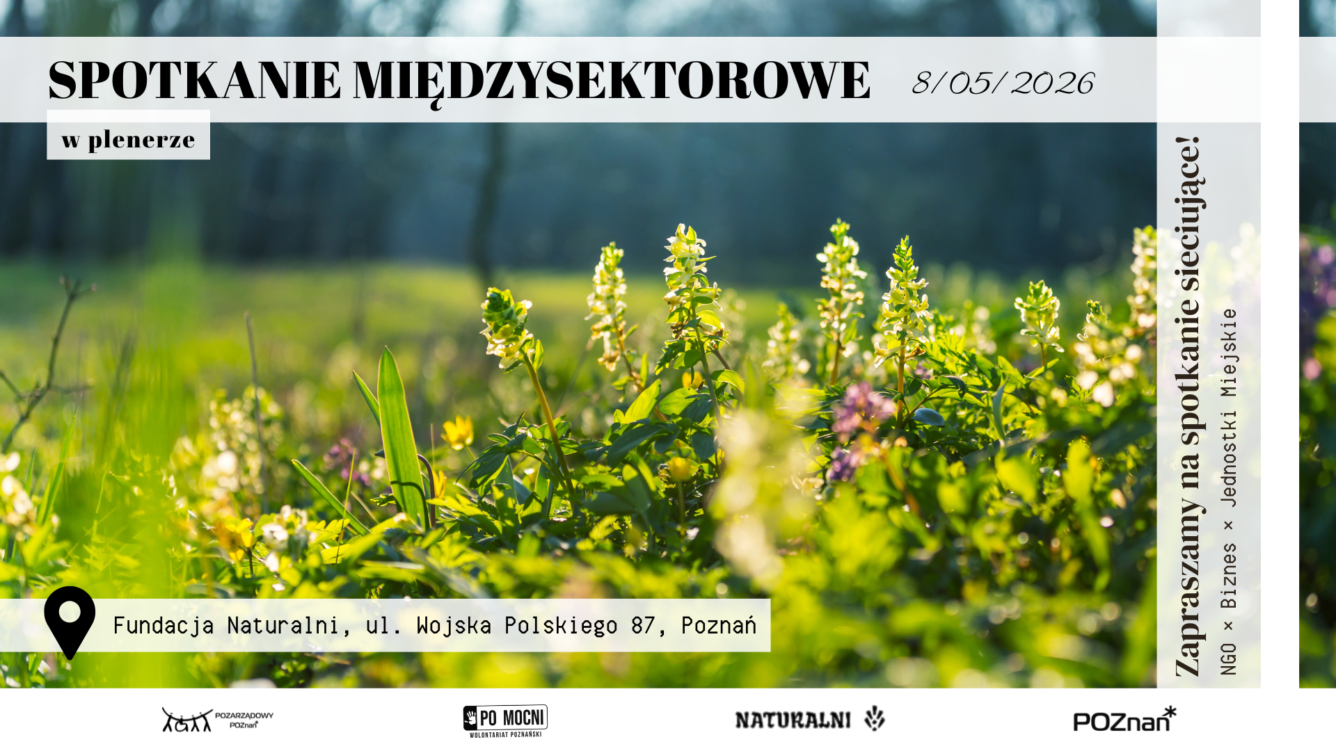 Na zdjęciu znajduje się łąka oraz napisy zapraszające na spotkanie międzysektorowe 8 maja 2026 w godzinach od 12:00 do 16:00 w Fundacji Naturalni przy ul. Wojska Polskiego 87, spotkanie plenerowe.