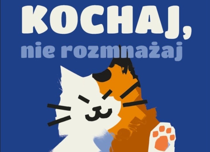 Obrazek przedstawia biało-pomarańczowego kota na ciemnoniebieskim tle