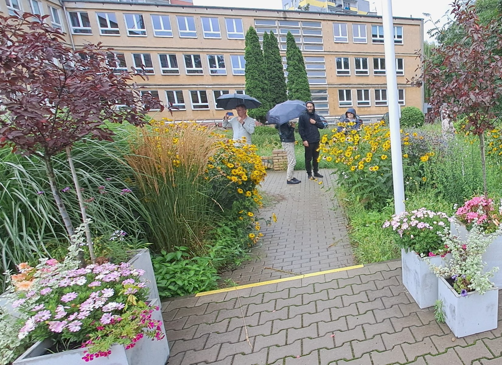 ocena Miejskiej Komisji Konkursowej w zgłoszonym obiekcie na zdjęciu widoczne donice ozdobne z kwiatami, w tle komisja ,trawy ozdobne ,zółte słoneczniczki szorstkie i budynek Szkoły