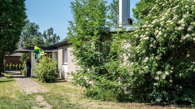 ogródek działkowy, trwa, zieleń średniej wysokości, niski, szary parterowy budynek, na nim flaga w kolorach żółtym i zielonym