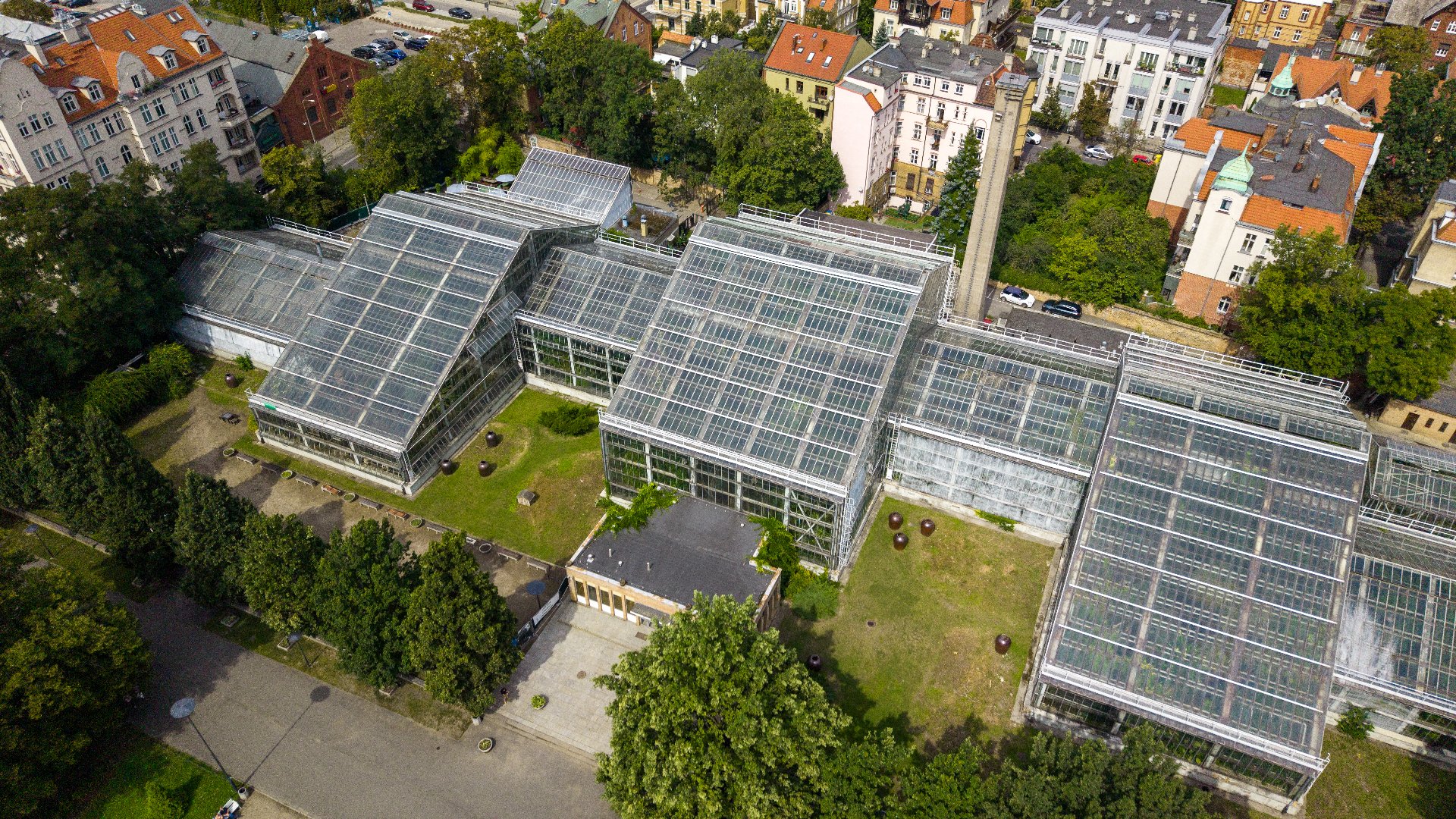 Palmiarnia Poznańska przed modernizacją