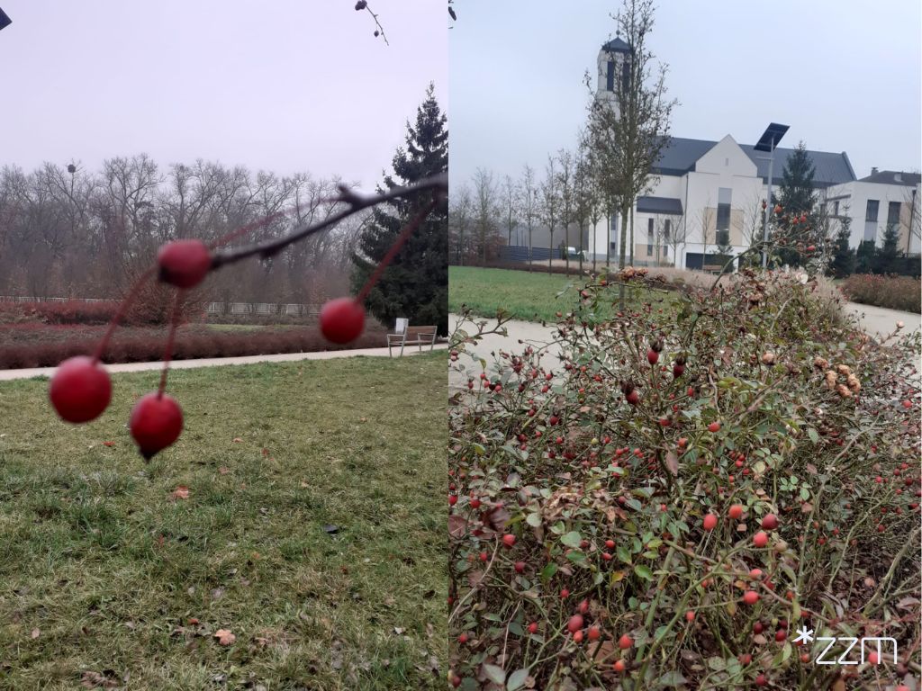 Park Bambrów Poznańskich jesienią