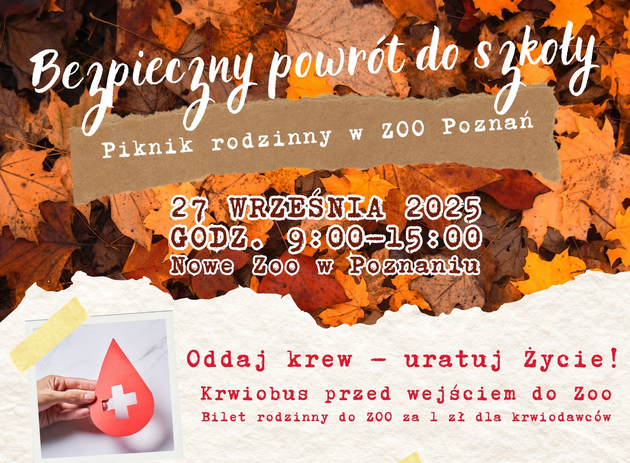 Plakat promujący pinknik rodzinny w Nowym Zoo, zatytułowany Bezpieczny powrót do szkoły. Tło z kolorowych jesiennych liści. Szczegółowe informacje z plakatu są powtórzone w treści artykułu.