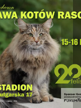 Na środku plakatu zdjęcie kota na rozmytym, zielonym tle. Na froncie logo organizacji felis posnania oraz informacje na temat wydarzenia zawarte w treści artykułu.