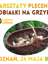 Kwadratowy plakat na białym tle promujący warsztaty plecenia kobiałki na grzyby, które odbędą się 24 maja w Poznaniu, z centralnie umieszczonym zdjęciem wiklinowego kosza pełnego grzybów na leśnym mchu oraz logotypem yellow willow, przypominającym drzewo wpisane w okrąg.