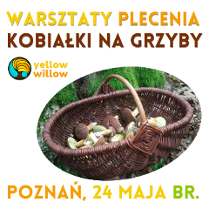 Kwadratowy plakat na białym tle promujący warsztaty plecenia kobiałki na grzyby, które odbędą się 24 maja w Poznaniu, z centralnie umieszczonym zdjęciem wiklinowego kosza pełnego grzybów na leśnym mchu oraz logotypem yellow willow, przypominającym drzewo wpisane w okrąg.