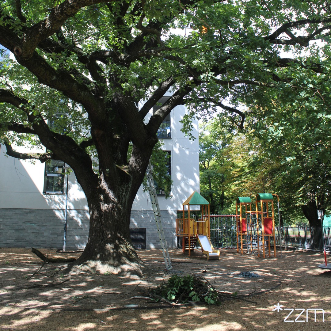 Poprawiamy koronę "Krzysztofowi"