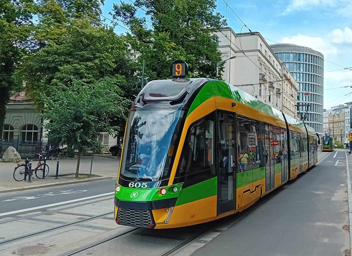 Rozwar o intensywnym niebieskim kolorze kwiatów przypomina pięcioramienną gwiazdą. Zamknięte kwiaty przypominają baloniki.