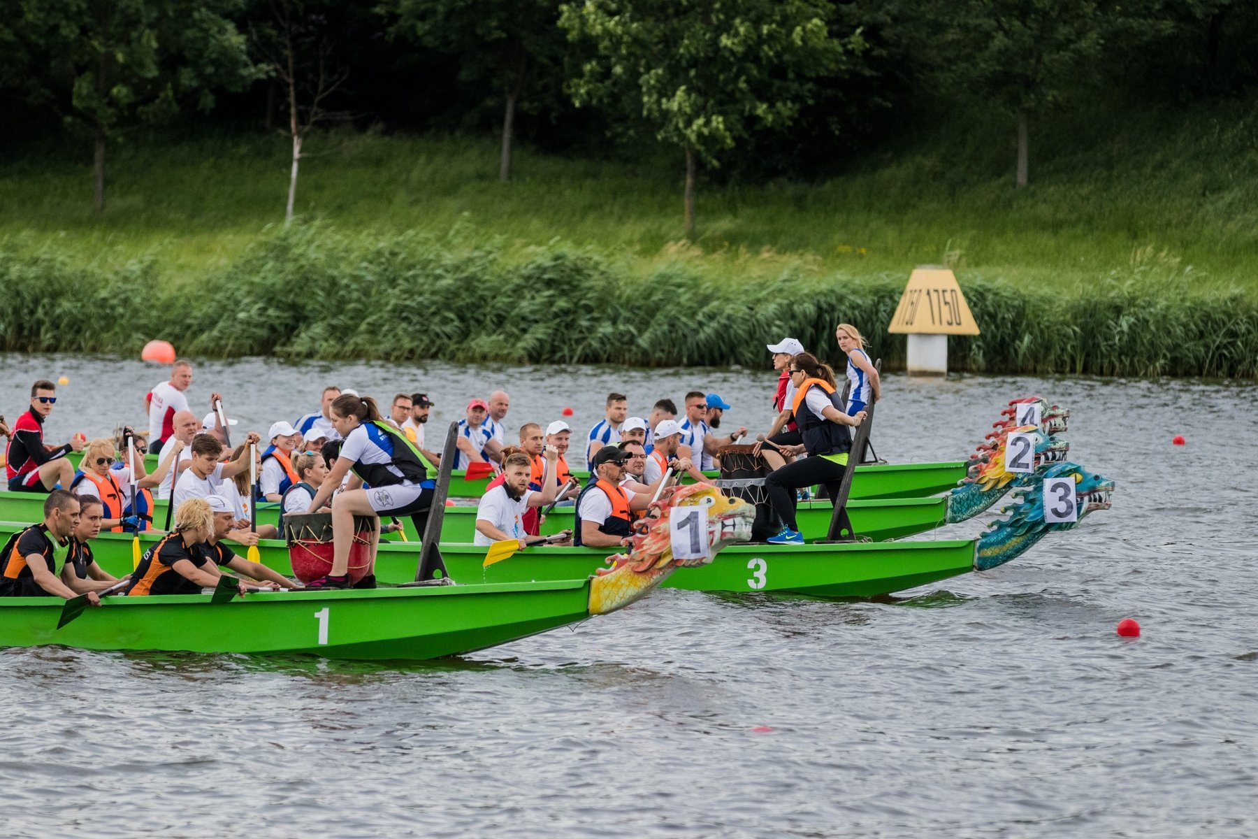 Smocze łodzie ścigające się po Jeziorze Maltańskim