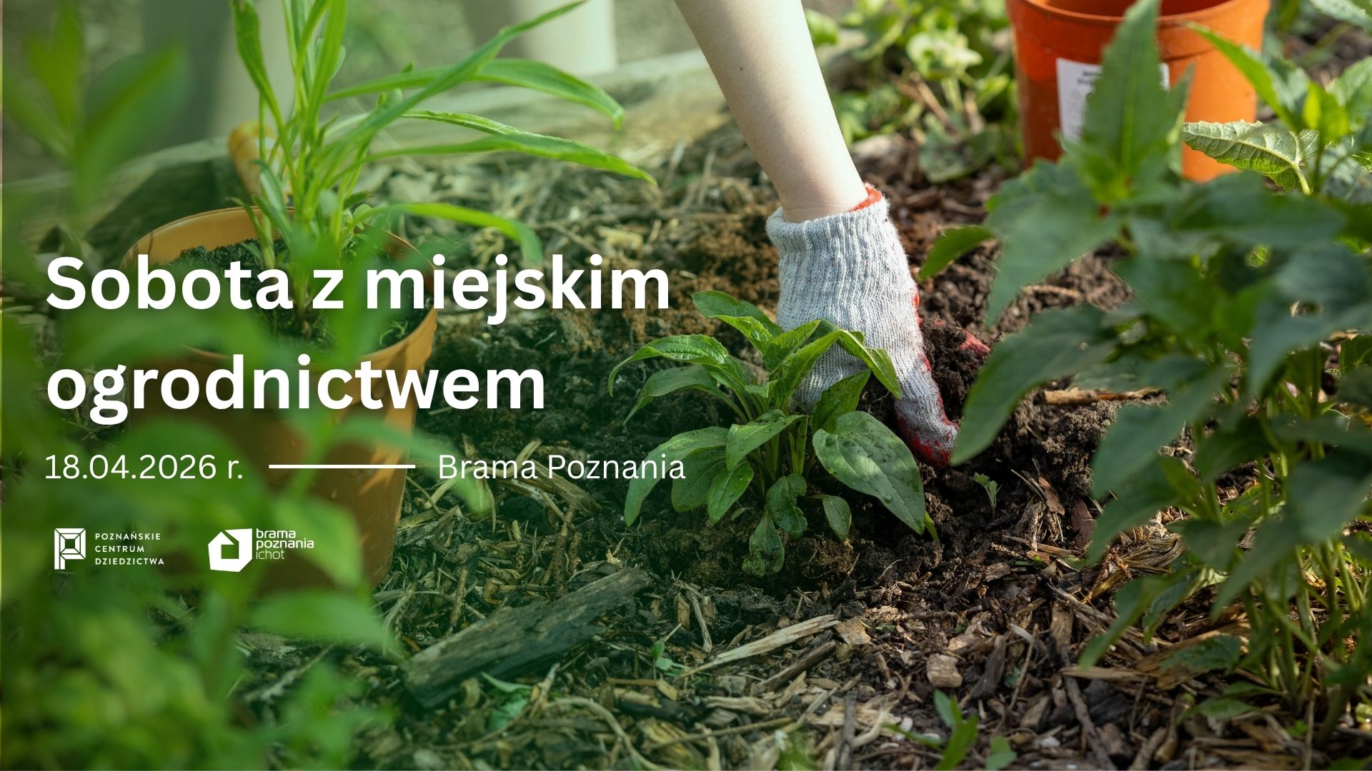 Sobota z miejskim ogrodnictwem -plakat ukazuje ręce zapracowane w ogrodowych grządkach wśród zieleni nawiązujący do wydarzenia.